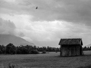 Natur 104 - Gustav Eckart, Fotografia